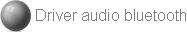 Driver audio bluetooth
